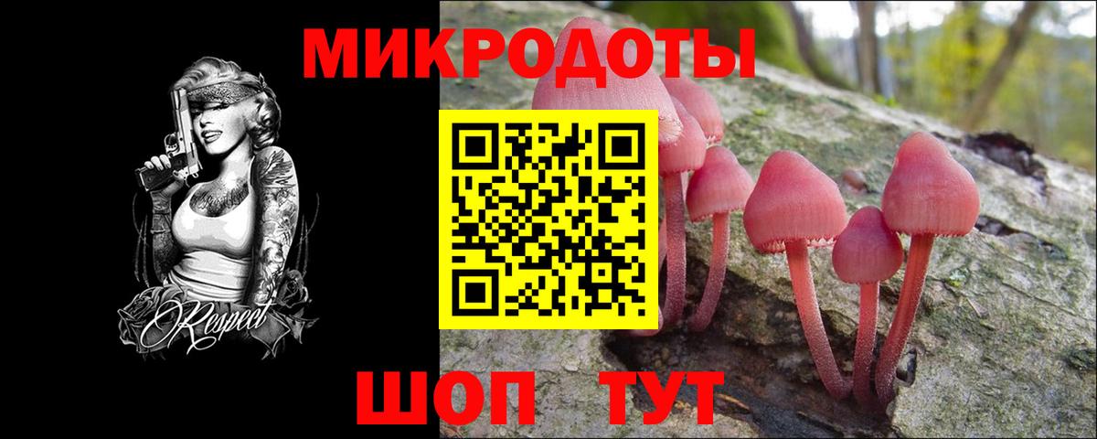 Галлюциногенные грибы Psilocybe Белорецк